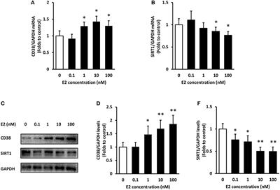17β-Estradiol Promotes Apoptosis in Airway Smooth Muscle Cells Through CD38/SIRT1/p53 Pathway